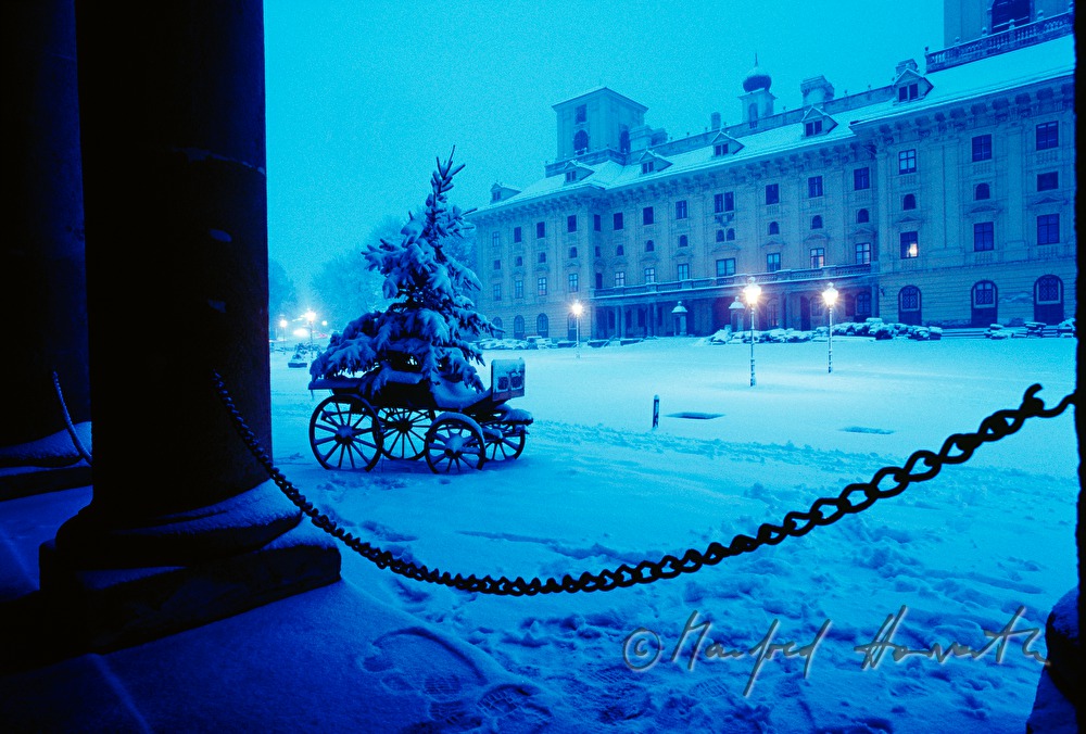 christmastree in a carriage on Esterhazy Square