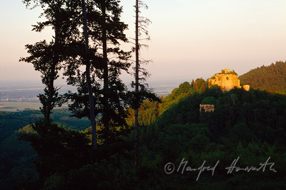 Burgruine Landsee in the Nature Park Landseer Berge