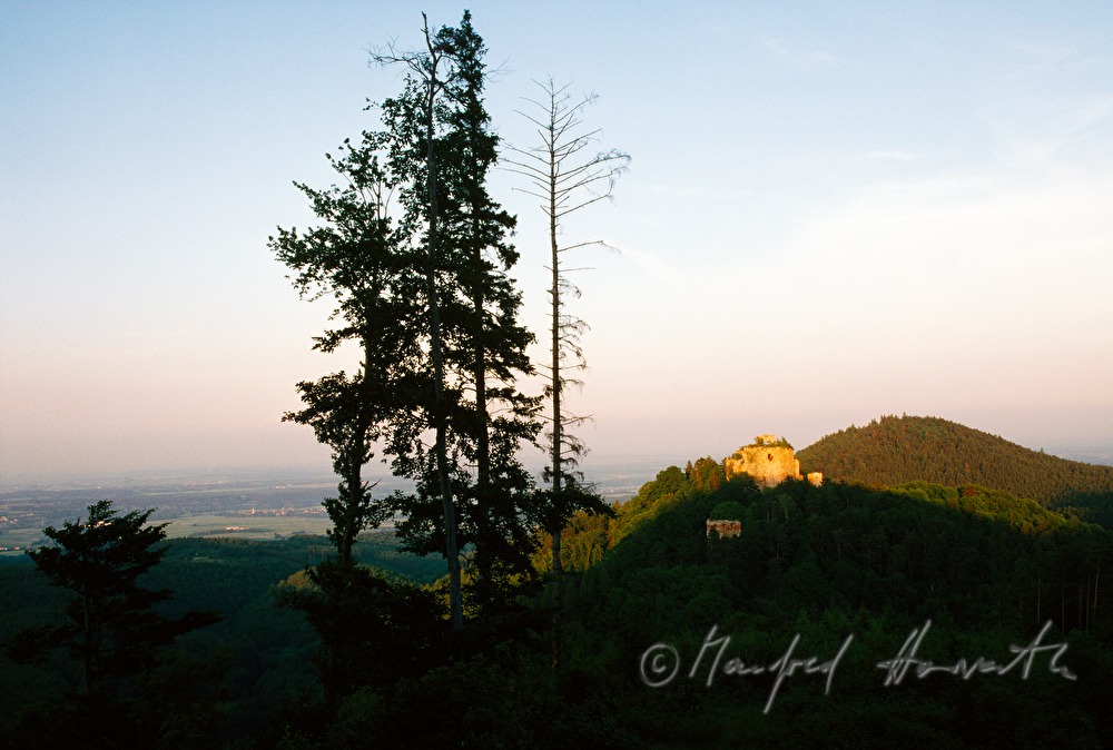 Burgruine Landsee in the Nature Park Landseer Berge