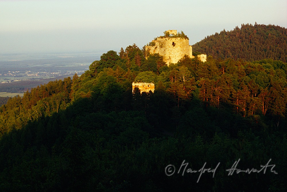 Burgruine Landsee in the Nature Park Landseer Berge