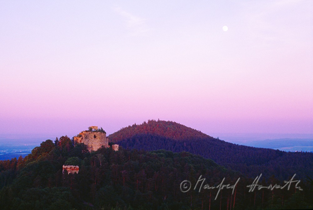 Burgruine Landsee in the Nature Park Landseer Berge
