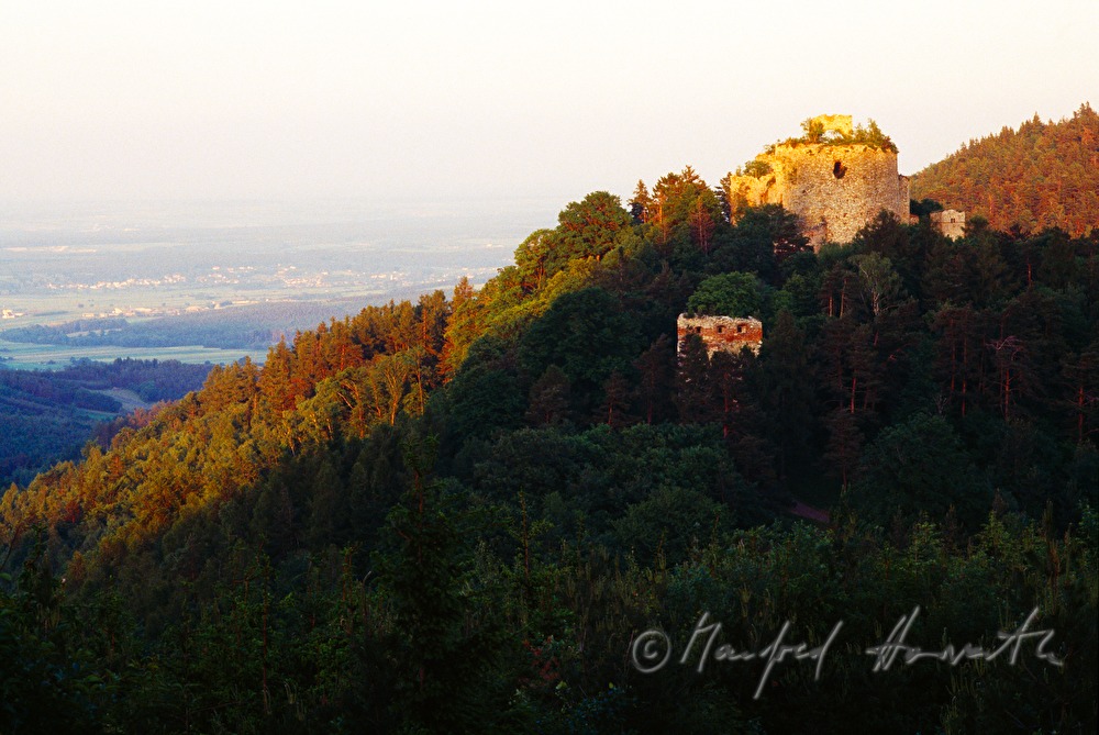 Burgruine Landsee in the Nature Park Landseer Berge