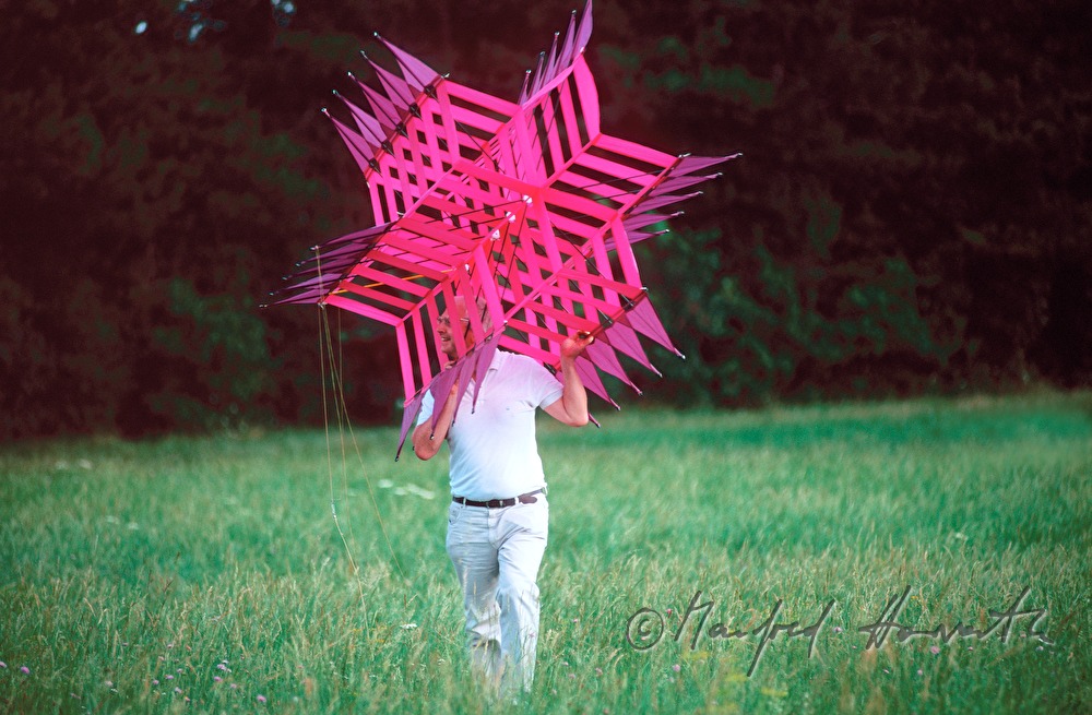 man flying a kite in the windpark