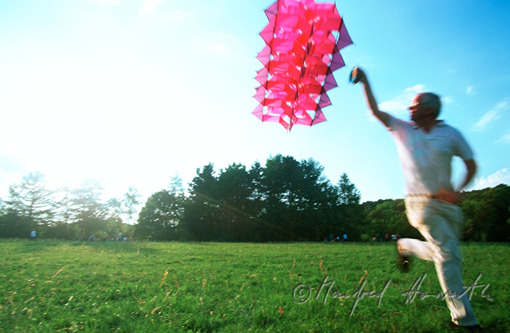man flying a kite in the windpark