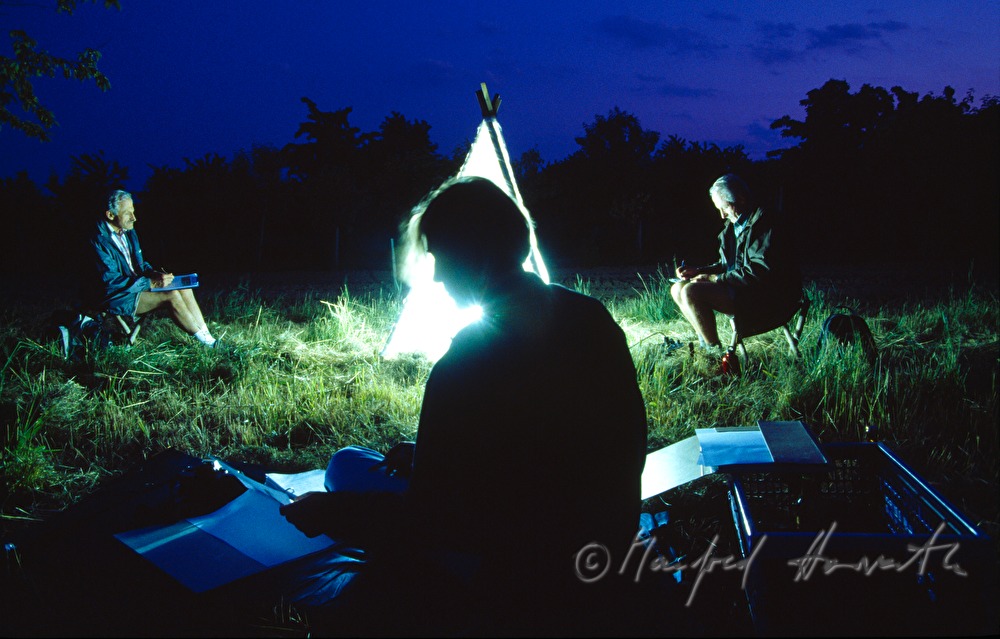 lepidopterists counting moths