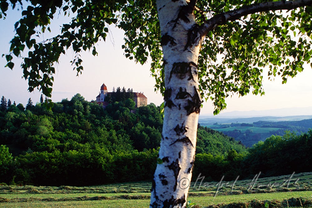 castle, birch and mowed meadow