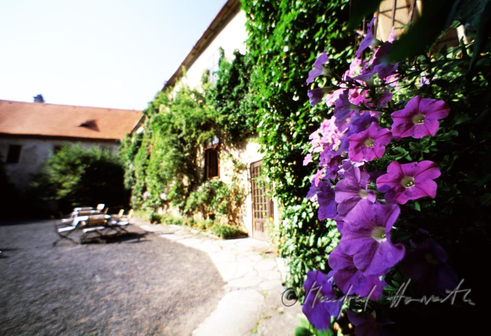 inner courtyard
