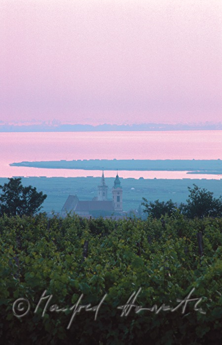 vineyards and Neusiedlersee