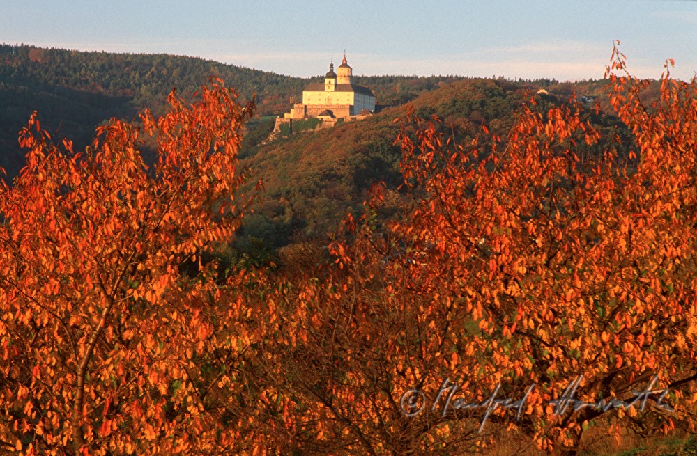 Rosaliengebirge in autumn colours