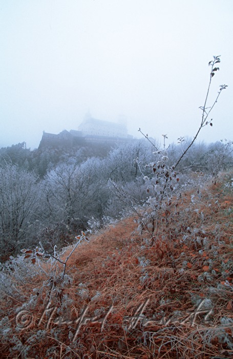 hoarfrost and the Castle in fog
