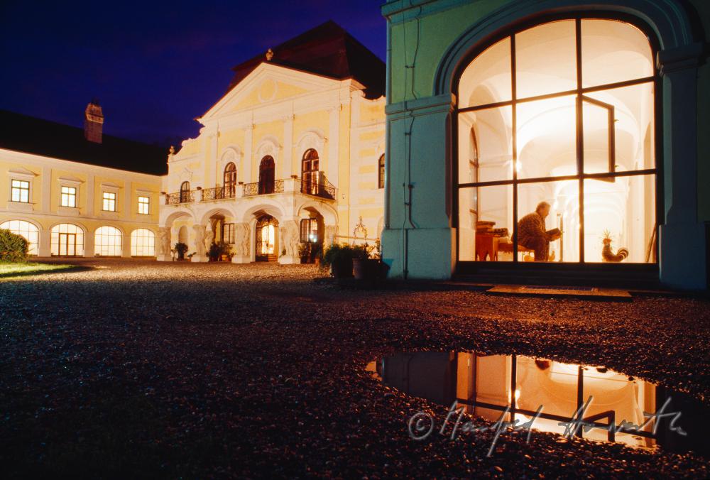 Castle Kittsee, view inside