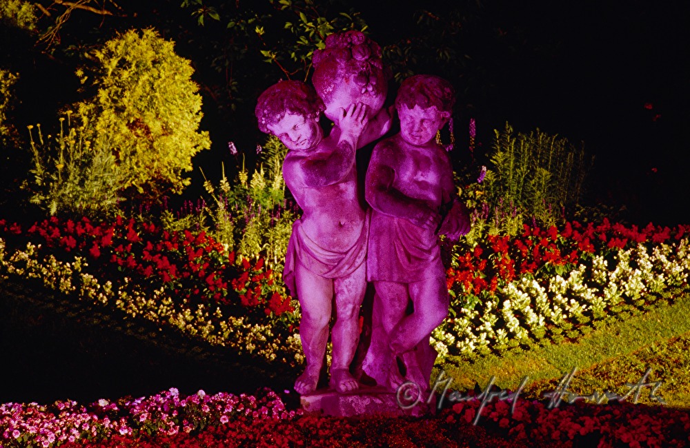 garden sculpture in the park