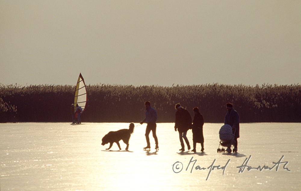 ice-skaters on the lake