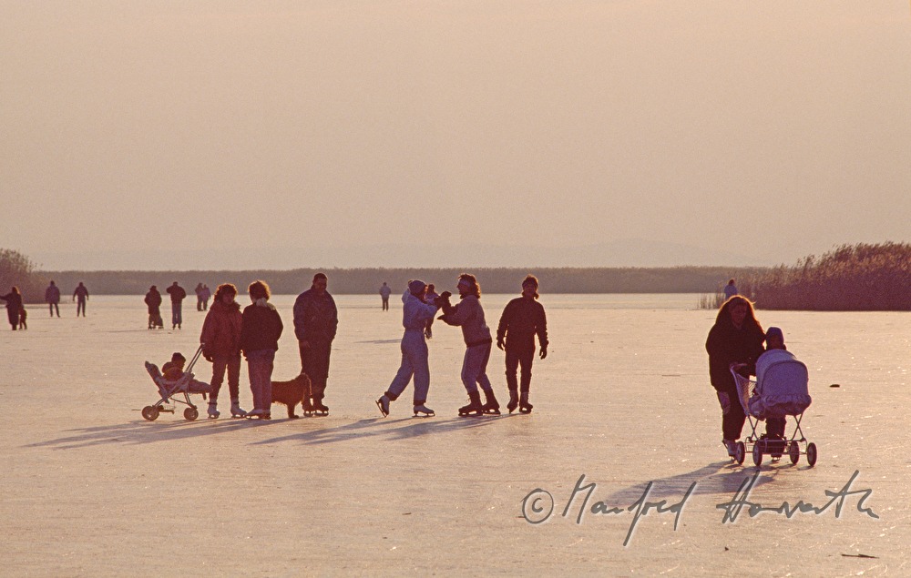 ice-skaters on the lake