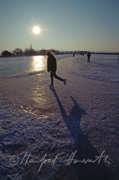 ice-skaters on the lake