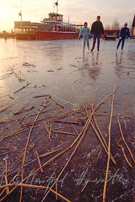 ice-skaters on the lake