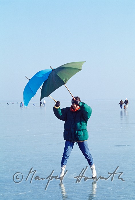ice-skaters on the lake