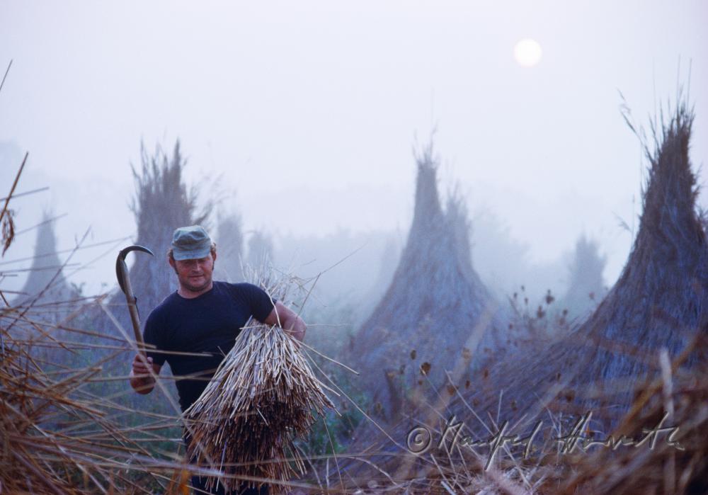 building cones out of reed for storage