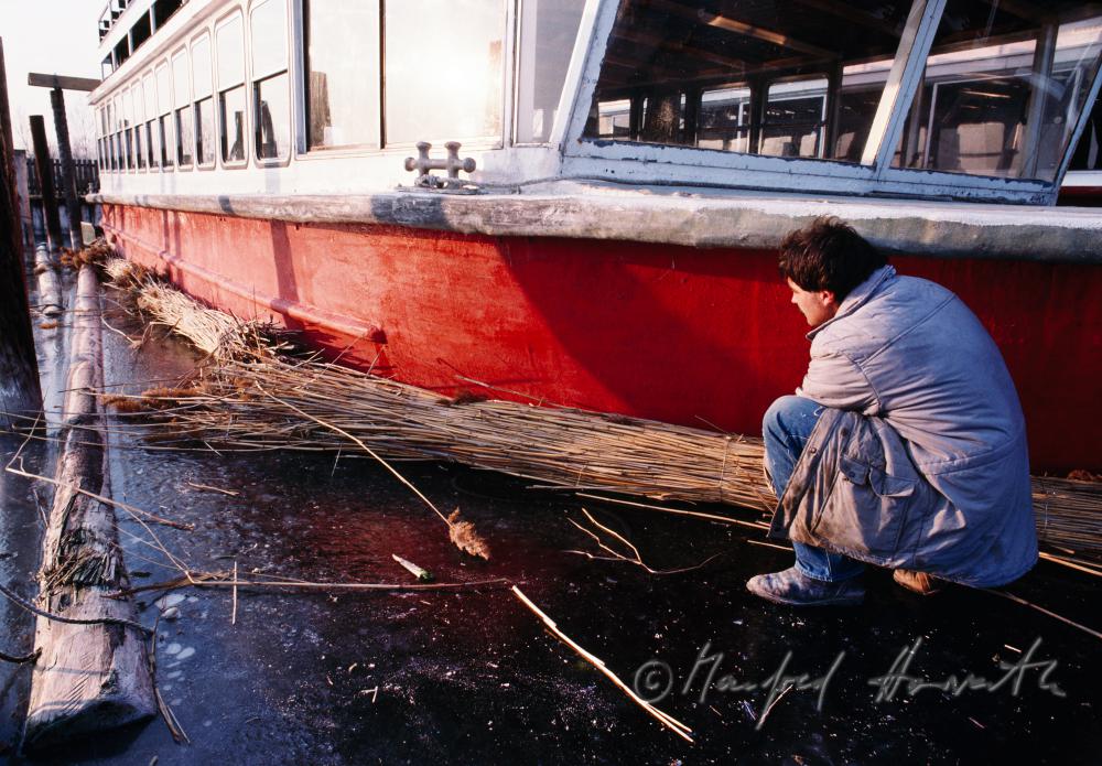 worker puts reed to the vessel for protection of ice