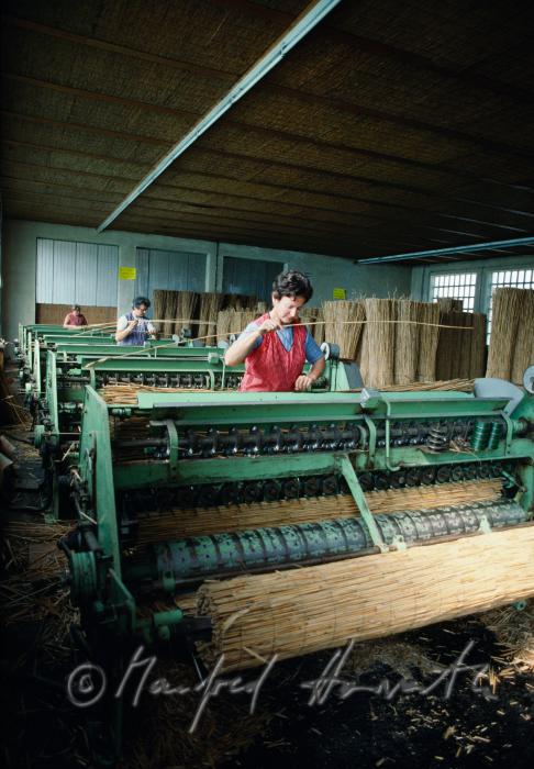 reed weaving machine fpr making reed mats (rush mats)