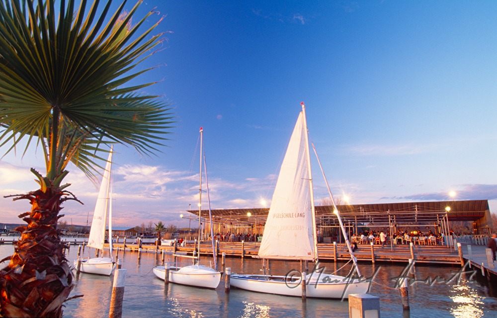 Mole West, palm trees on the pontoon