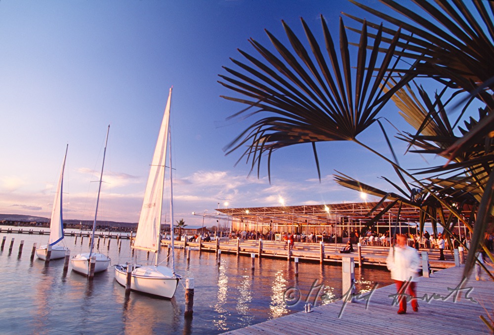 Mole West, palm trees on the pontoon