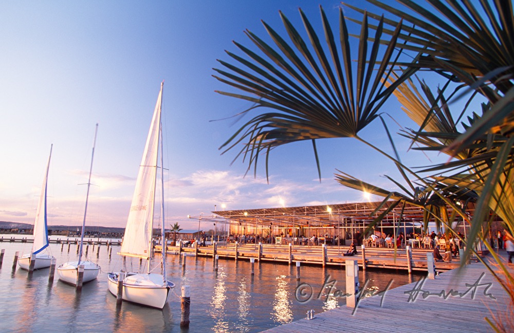 Mole West, palm trees on the pontoon