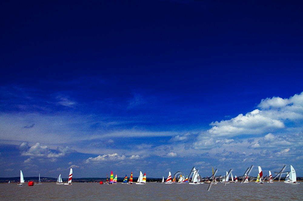 sailing regatta near Weiden am See