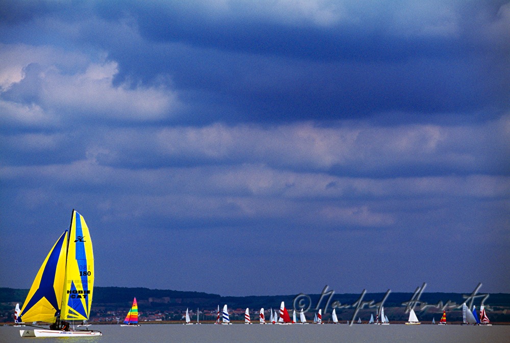 sailing regatta near Weiden am See