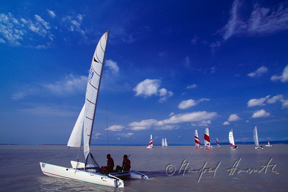 sailing regatta near Weiden am See