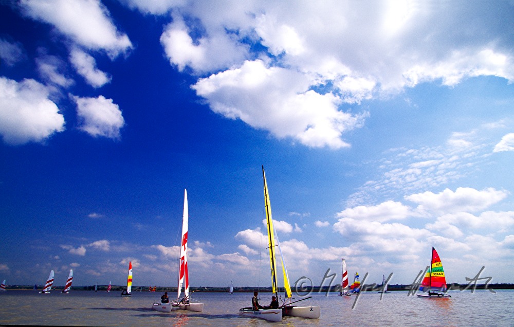 sailing regatta near Weiden am See