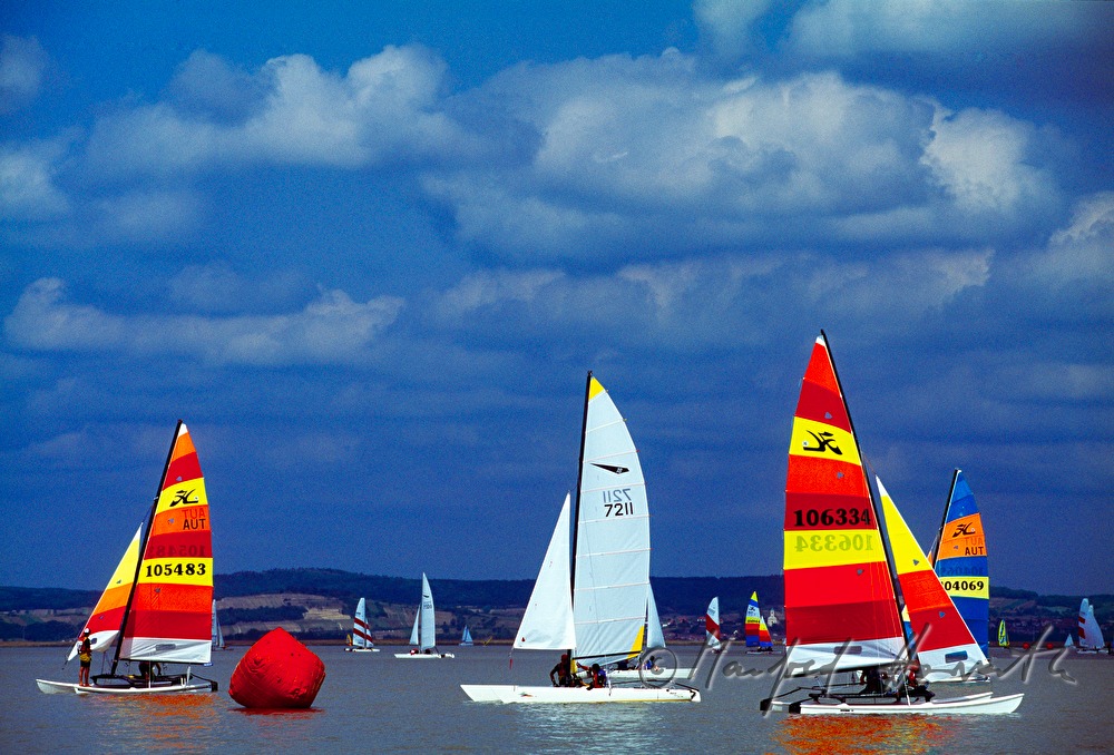 sailing regatta near Weiden am See