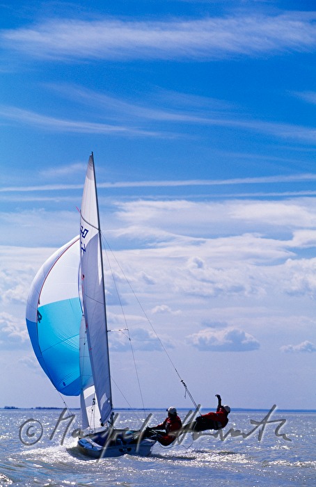 sailing regatta near Weiden am See
