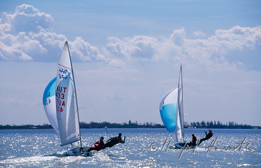 sailing regatta near Weiden am See