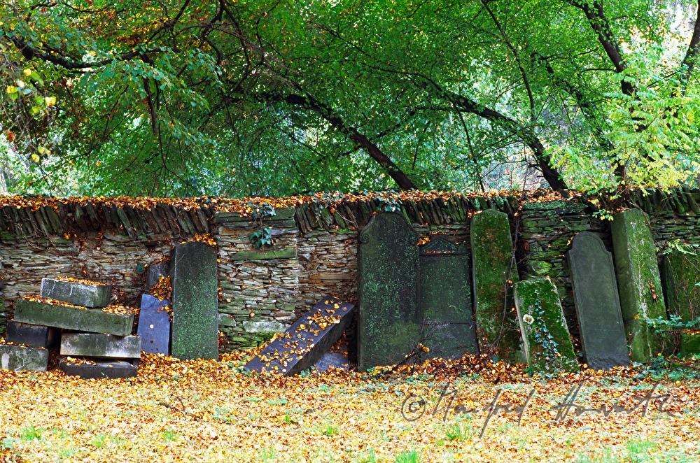 jewish cemetery and gravestones