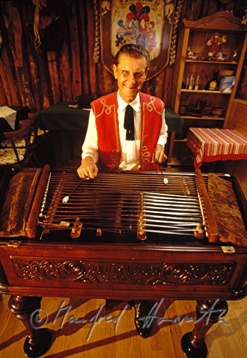 cimbalom player in the restaurant 