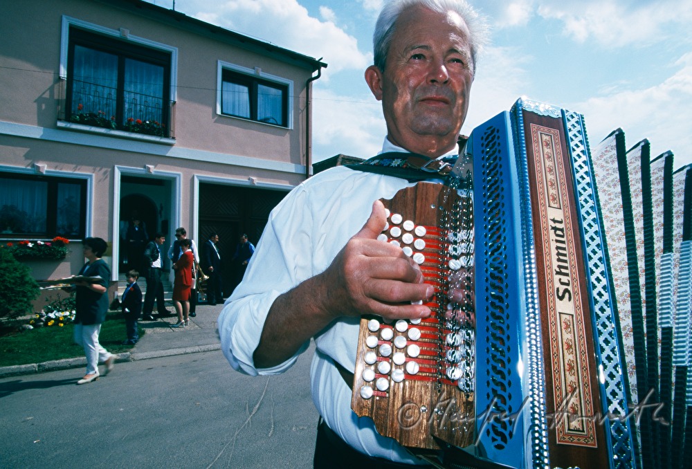 Croat wedding - accordeon player