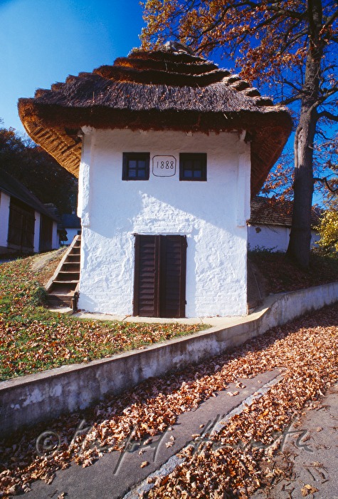 wine cellar with thatched roof