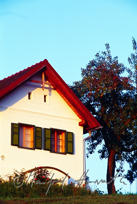 former winecellar (now guesthouse)