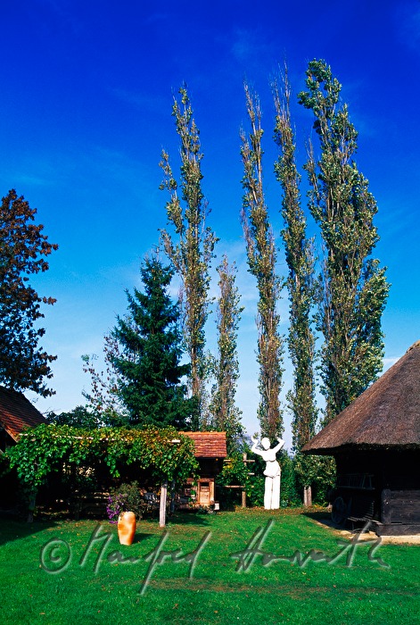 garden of the artist's workshop at the artist's village