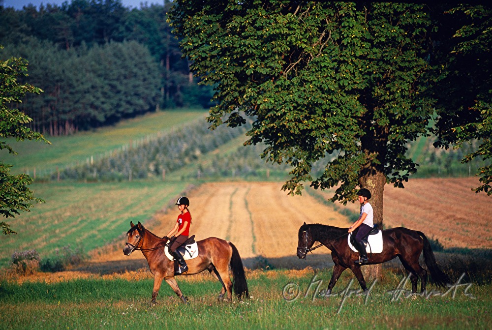 two riders on a path through the fields