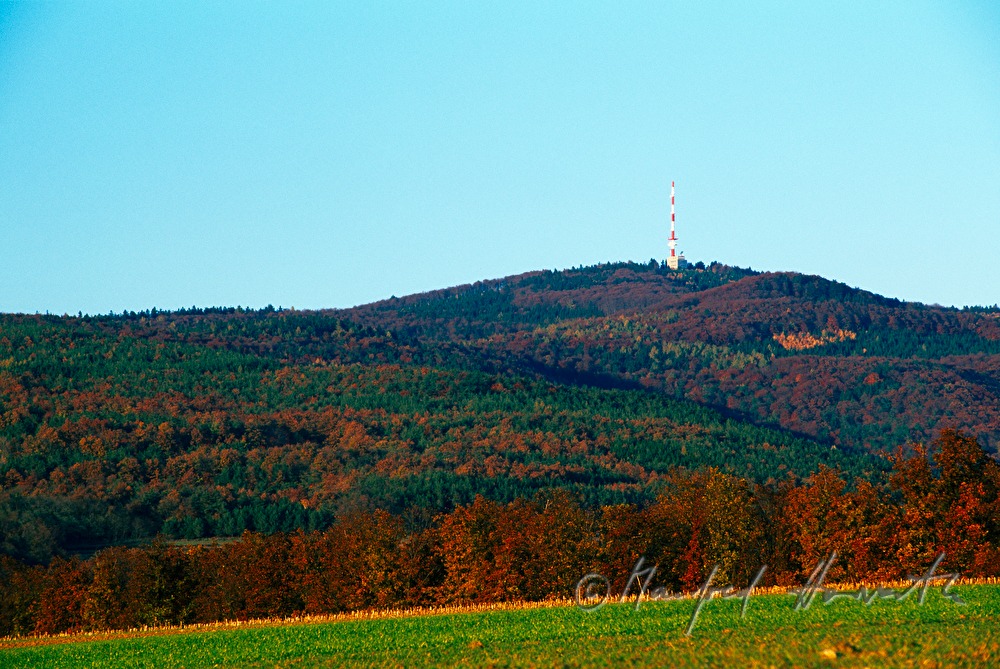 landscape near Rechnitz