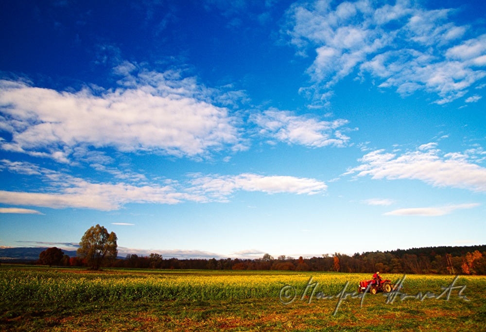tractor in the pitch