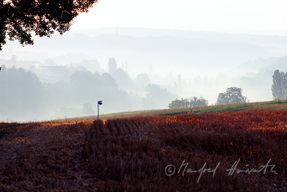 fields and morning mist