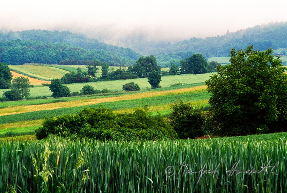 landscape near Schlaining