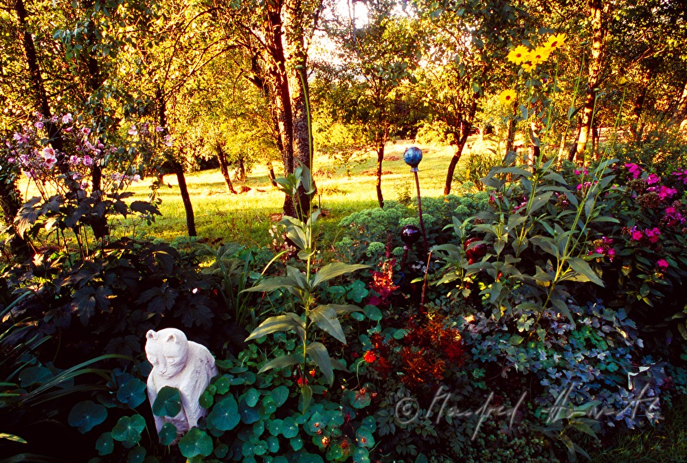 garden of Linde Huber (guesthouse)