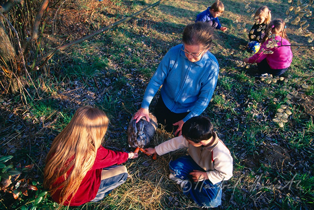 children feed a rabbit with carrots
