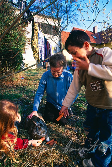 children feed a rabbit with carrots