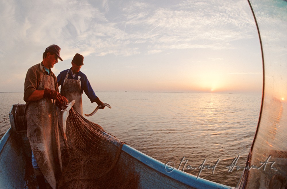 fisherfamily Augsten fishes for pike perch