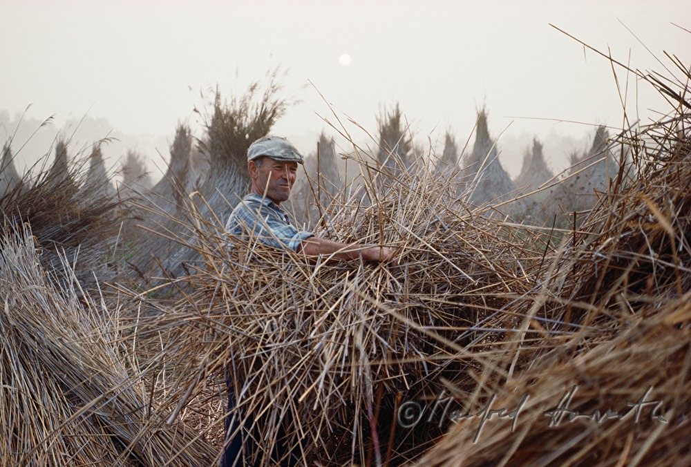 building cones out of reed for storage